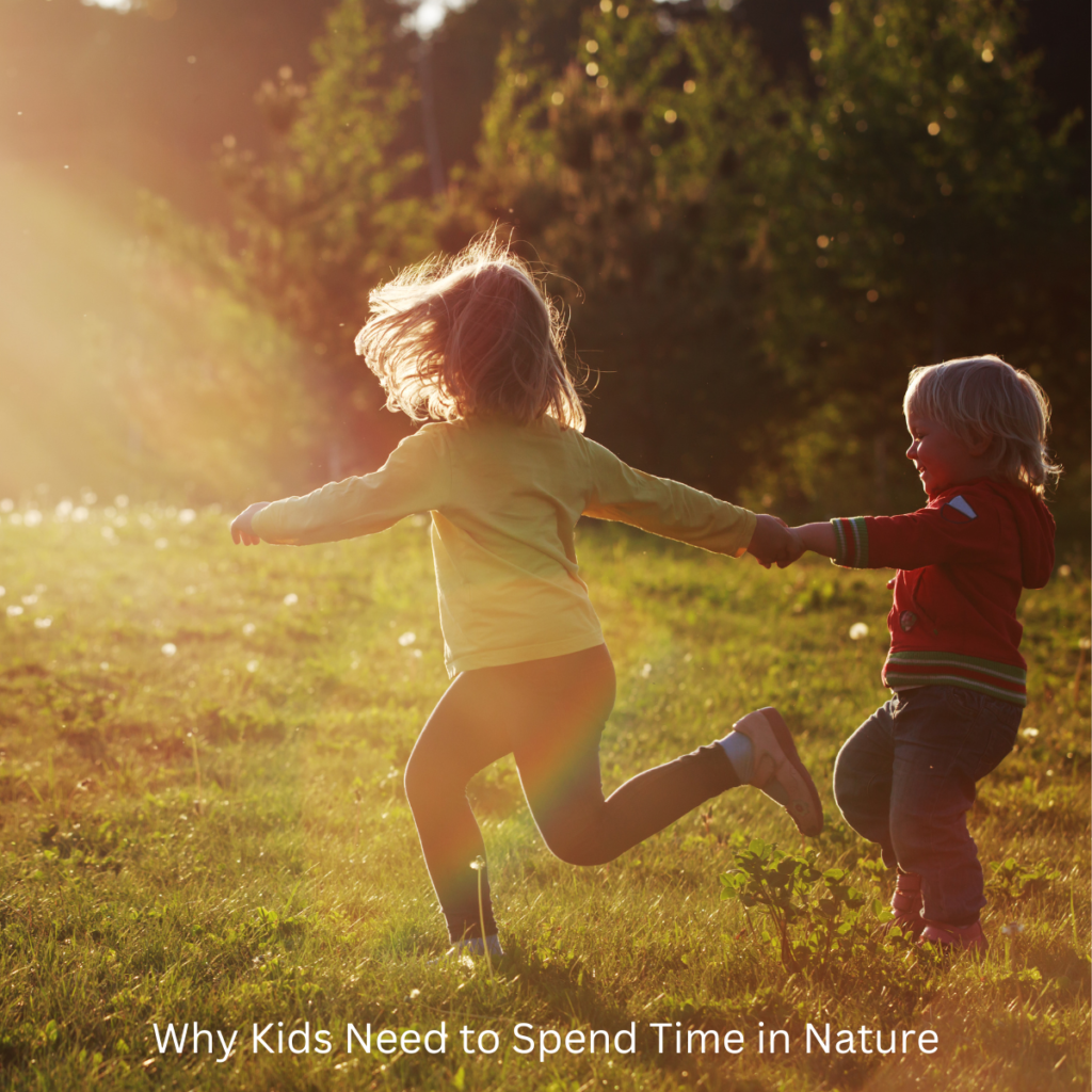 Nature-play-2